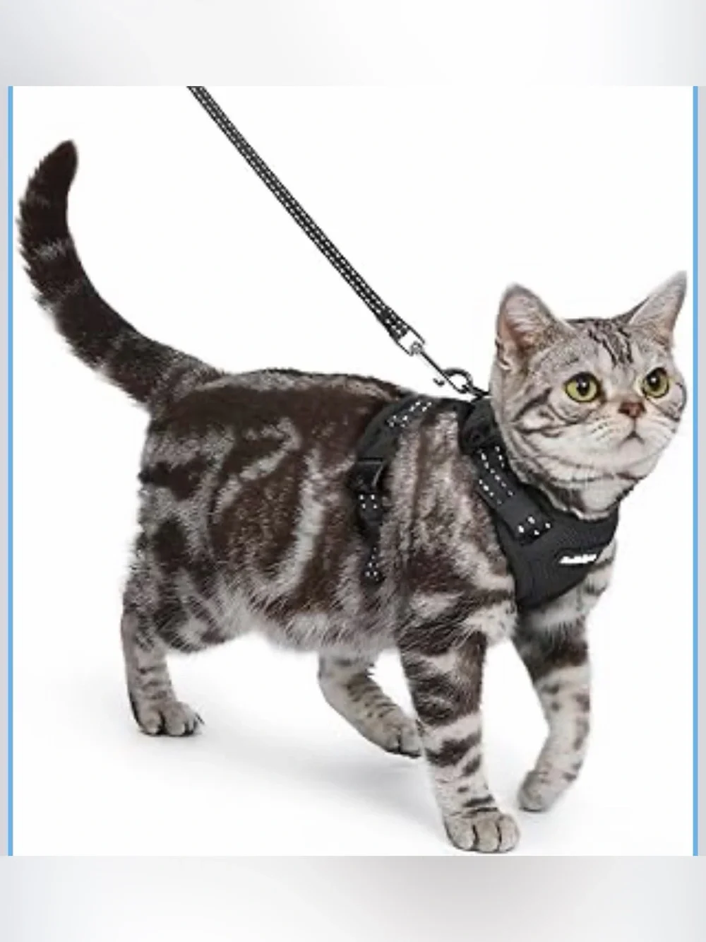 Cat Harness & Leash, Vest w/ Adjustable Buckles, Reflective, Small, Black, NEW